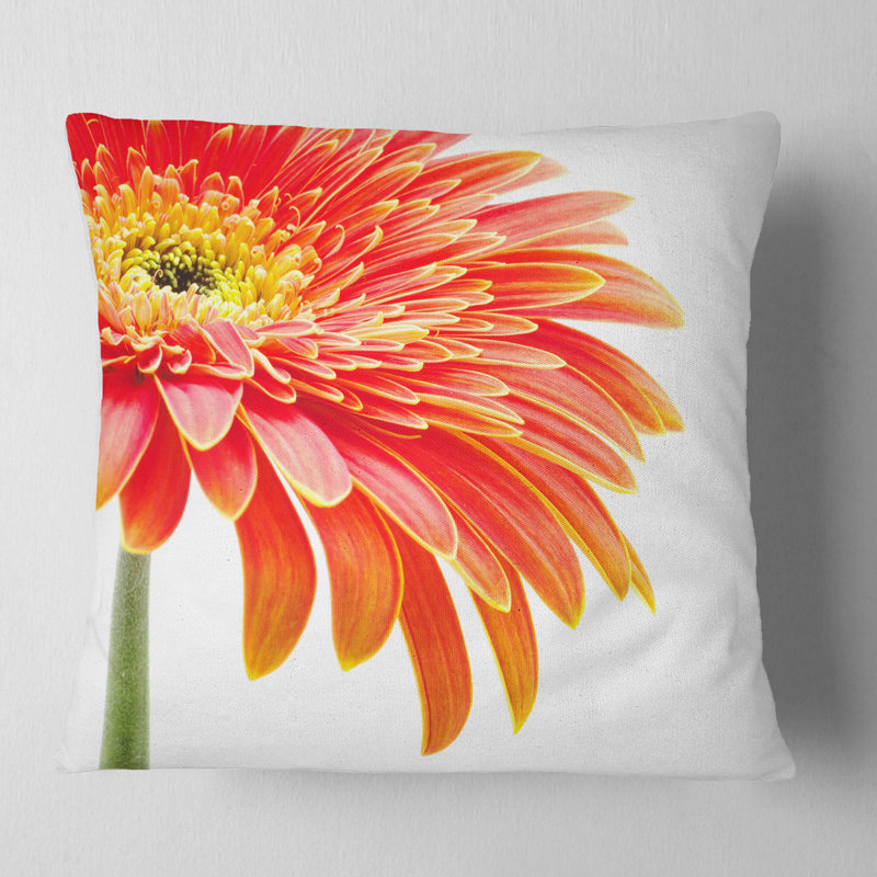 Throw Pillow, 16" x 16", Throw Pillow