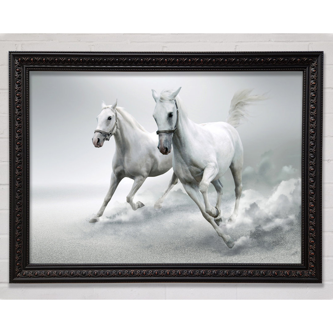 Silver Duo Horses - Einzelner Bilderrahmen Kunstdrucke