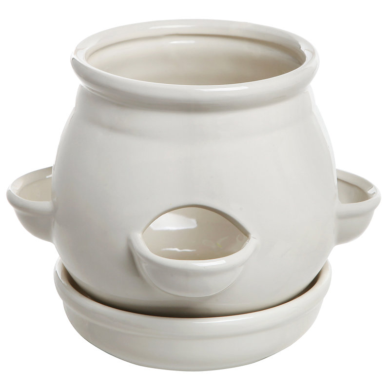 Ceramic Pot Planter