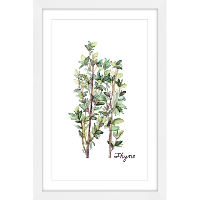 « herb thyme », reproduction d’art sur papier encadrée, H 24 po x l 16 po x P 1,5 po