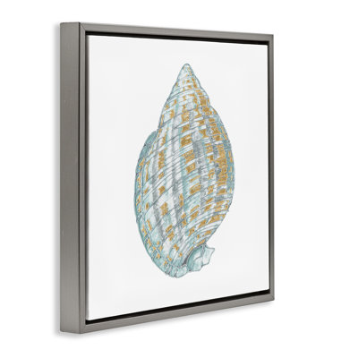 Regal Shells Spiral Floating Frame, design by Lorenzo Collective