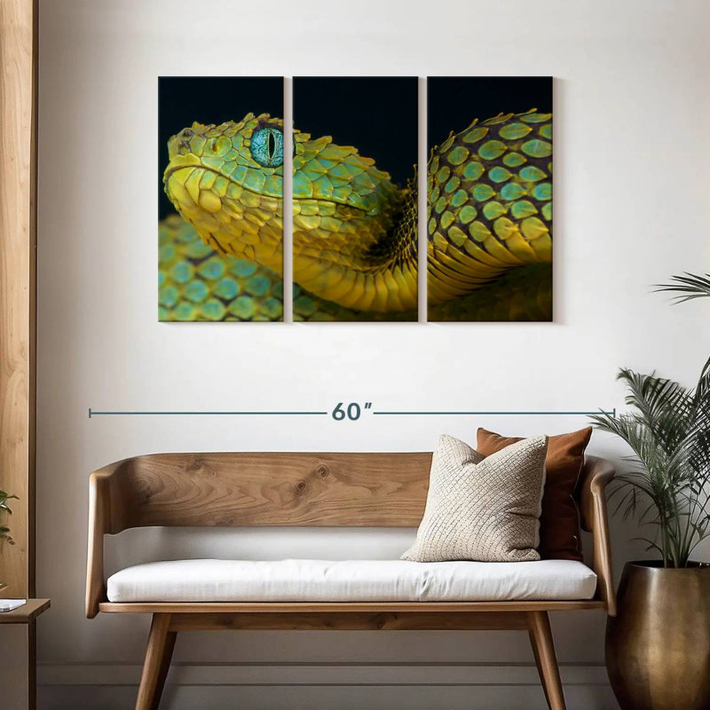 Brampt African Bush Viper, 28" H x 45" W