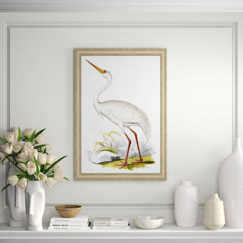 Coastal Ornithology 4' Framed Graphic Art Print on Glass