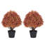 Arbre en pot 24 po-52325371