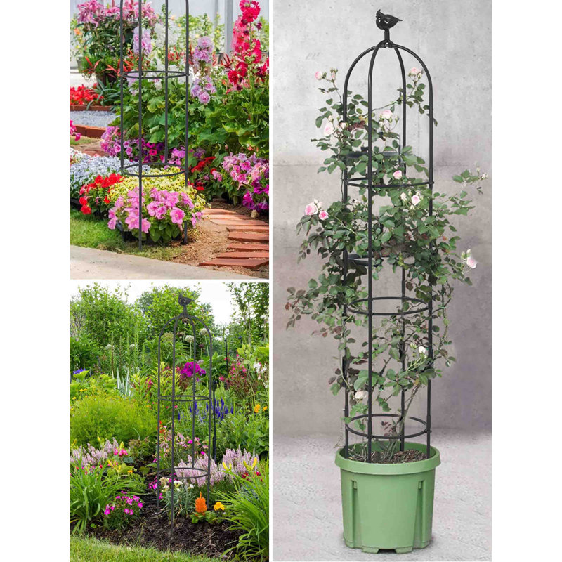 Danashia 180cm H x 30cm W Metal Obelisk Trellis, Black