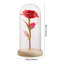 Cloche Or Water Globe-1222121394