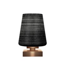 Bejamin 26.5 inch 100 watt Flat Black and Satin Brass Table Lamp Portable  Light