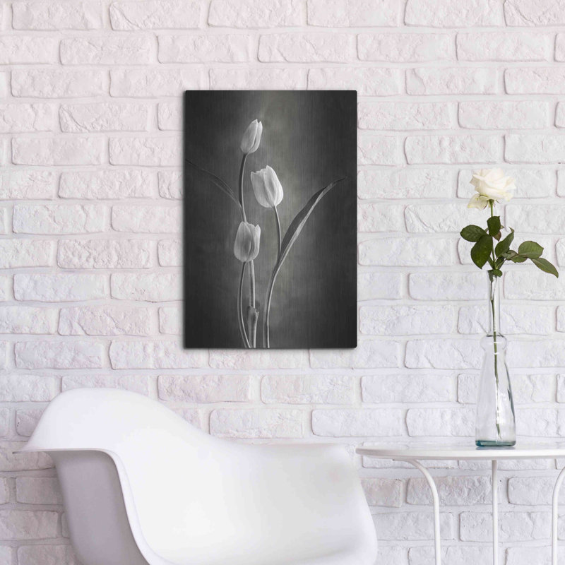 «Two Tone Tulips VIII» par Debra Van Swearingen, H 24 po x l 16 po