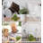 Ria Animals Figurines & Sculptures
