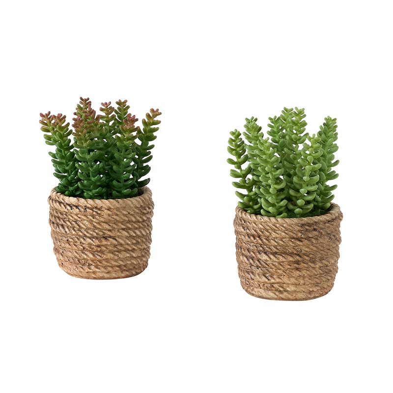 Plante artificielle