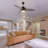 Viara 52'' Ceiling Fan with LED Lights-1353757173