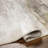 Davide Abstract Brown Area Rug-1910904913