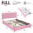 Huntsville 4-Drawer Velvet Upholstered Platform Bed-242197127-245840173