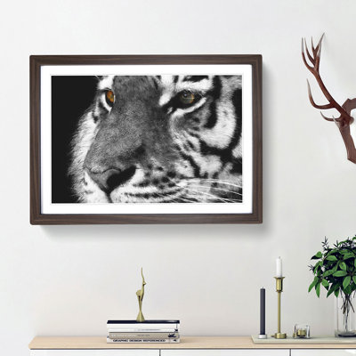 Eyes of the Tiger - Picture Frame Graphic Art Print