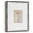 Dried Foliage I Framed Print - Solid Wood