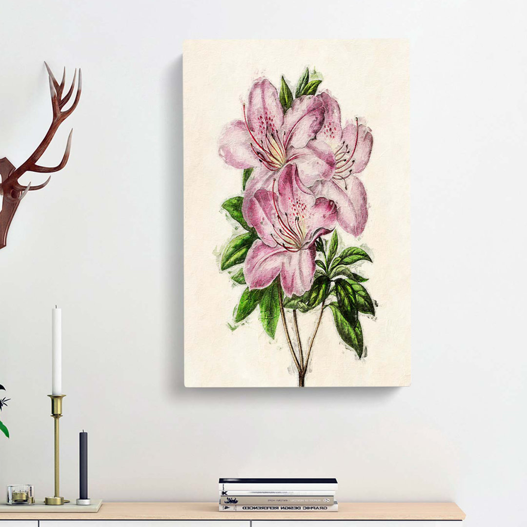 Illustration Of Pale Pink Azaleas - Wrapped Canvas