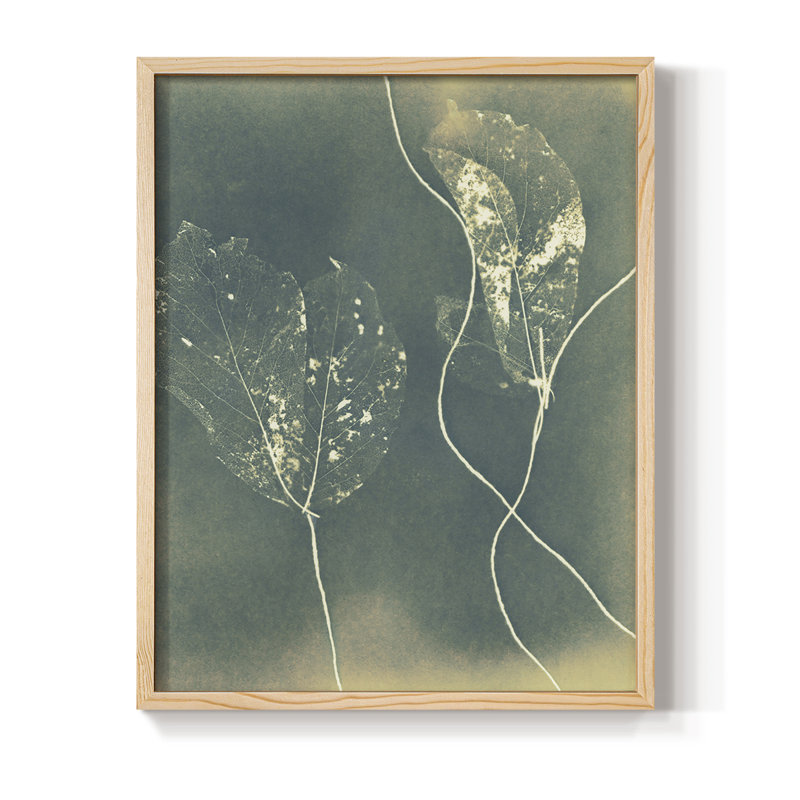 Ghost Leaves, reproduction encadrée - bois massif, Naturel, H 11 po x l 9 po