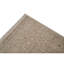 Area Rug in Beige