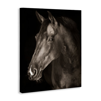 «Strong Stallion Horse Portrait Canvas» par Marcus Prime