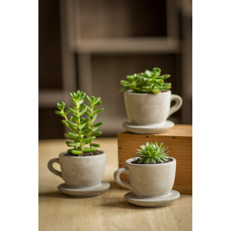 Abordale Statue Planter