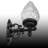 Lycius 1-Light Outdoor Armed Sconce