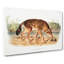 Red Texan Wolf by J.W. Audubon - Wrapped Canvas-55338636