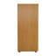 Buariki 46.4cm Wide 4 -Drawer File Cabinet-29582915