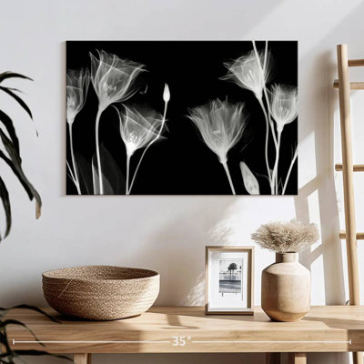 Harnek BW Gentian