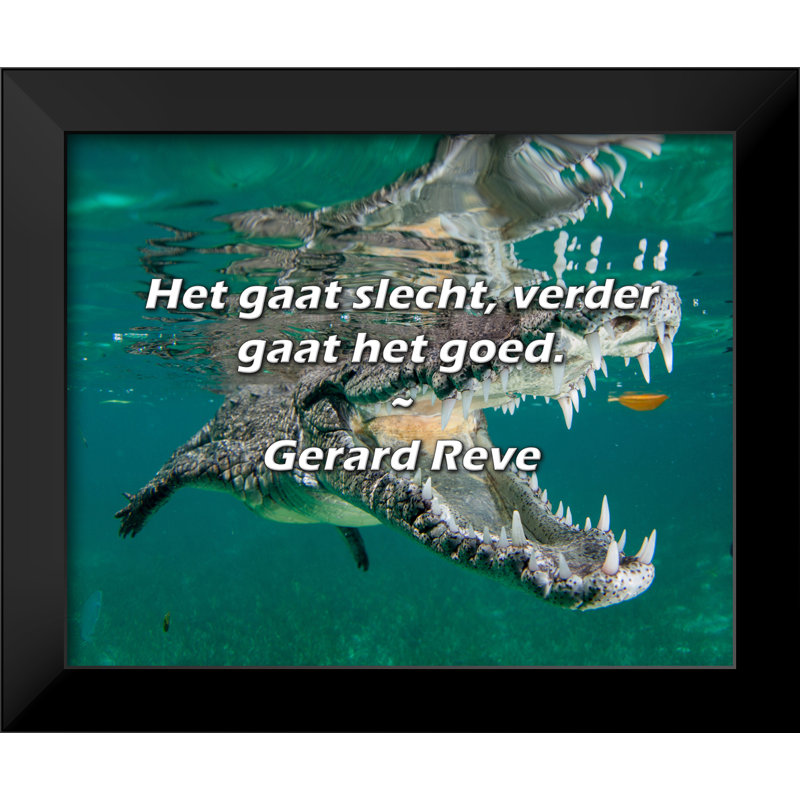Gerard Reve Citation: «Het gaat slecht, verder gaat het goed».