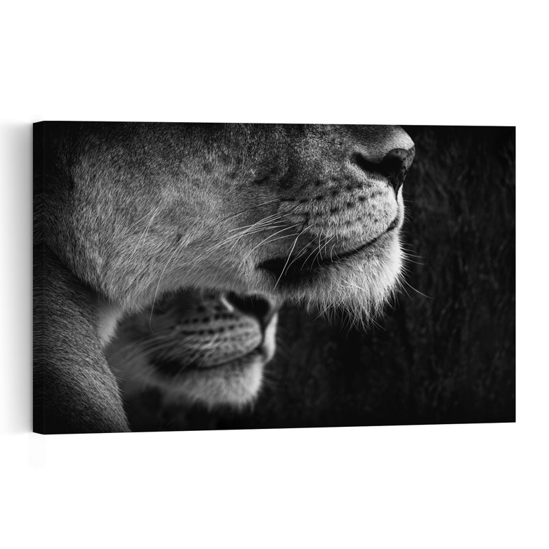 Majestic Lion Profile Serene Contemporary Cat Lion Nature Portrait Wall Art Print 1 Piece Wrapped Canvas Wall Art