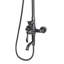 Leedy Mixer Shower with Dual Shower Head