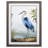" Blue Heron "