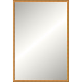 Distressed Gold Legacy Mirror