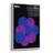 " State Posters ME " by Print Collection-1230674551