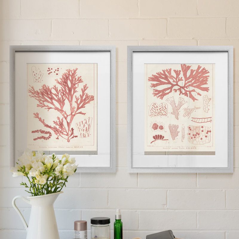 Corail antique, ensemble de 2 reproductions d’art graphique encadrées sur papier