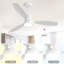 Ventilateur de plafond à profil bas intégré de 52 pouces avec lumière et télécommande pour salon de patio-845090270-845090259