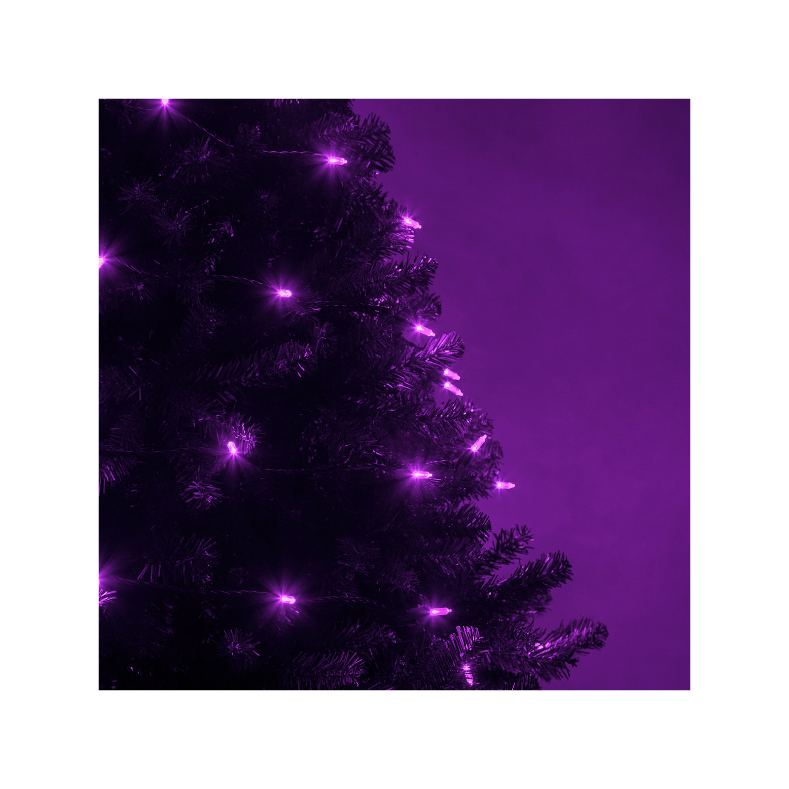 306'' LED String Lights, Purple