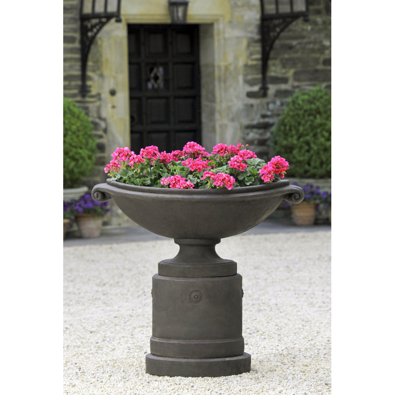 Medici Planter, Terra Nera