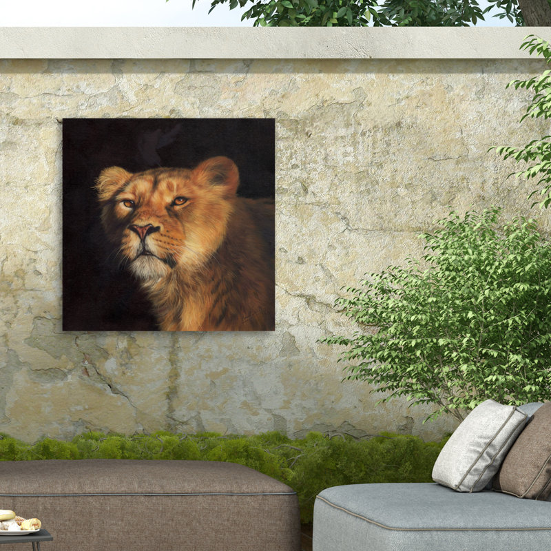Toile d'extérieur David Stribble Study Of A Lioness, H 14 po x l 14 po