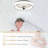 Denitra 19" Modern Flush Mount Ceiling Fan with Lights and Remote, Smart Bladeless Ceiling Fan with 6 Speed