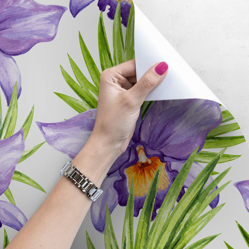 Binta 2.5m x 1.04m Matte Mural, 250 x 250cm