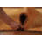 Orange Gabbeh Oriental Area Rug