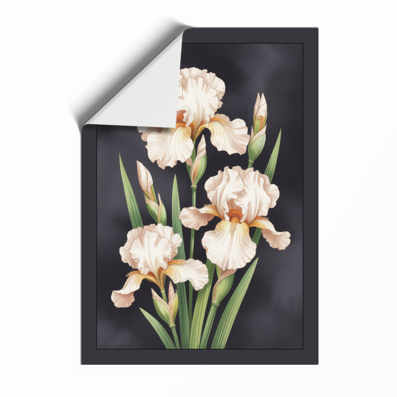 Three Pale Iris Botanical - Framed Print, A2 - 59.4 x 42.0 cm, Unframed