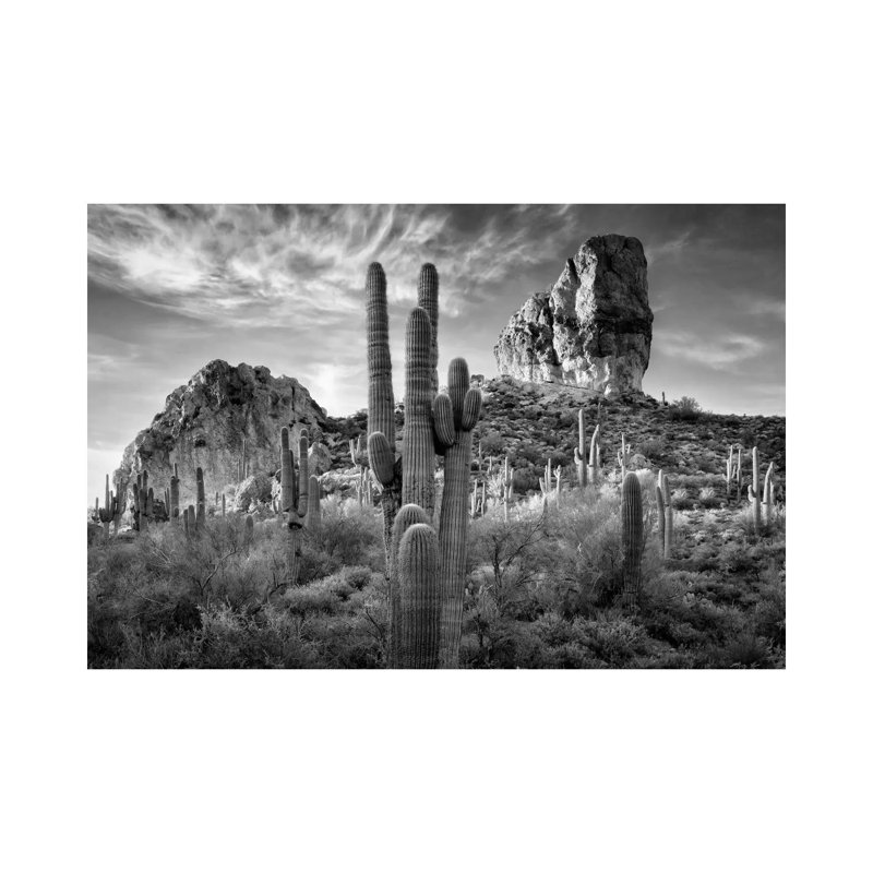 Desert View I by David Drost - Wrapped Canvas Print, 20.32 cm H x 30.48 cm W