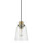 Luminaire suspendu 1 lumière à une cloche-16109599