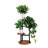 Suvam 3 Tier Plant Stand, Metal Wood Shelf Holder for Indoor, Outdoor Display Rack Flower Pot Stand for Corner Living Room Balcony Garden Patio