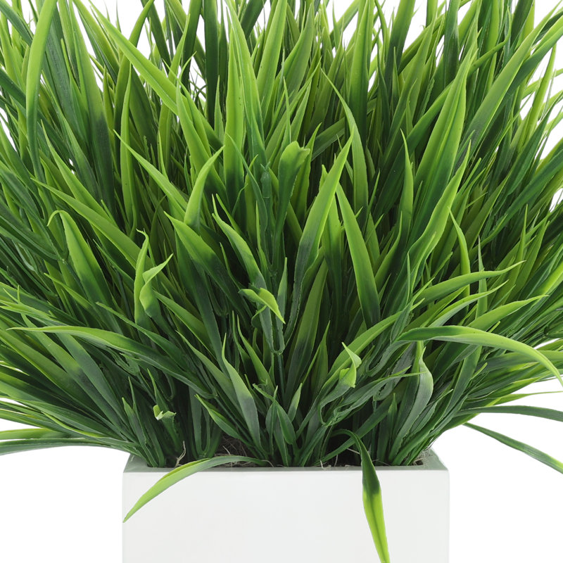Grass Arranged in Square Planter