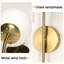 Armed Sconce