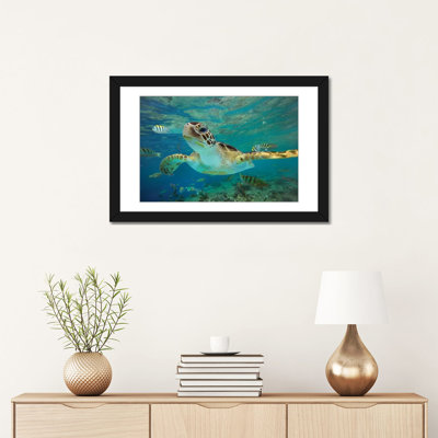 «Green Sea Turtle, Balicasag Island, Philippines II» par Tim Fitzharria, impression sur toile tendue
