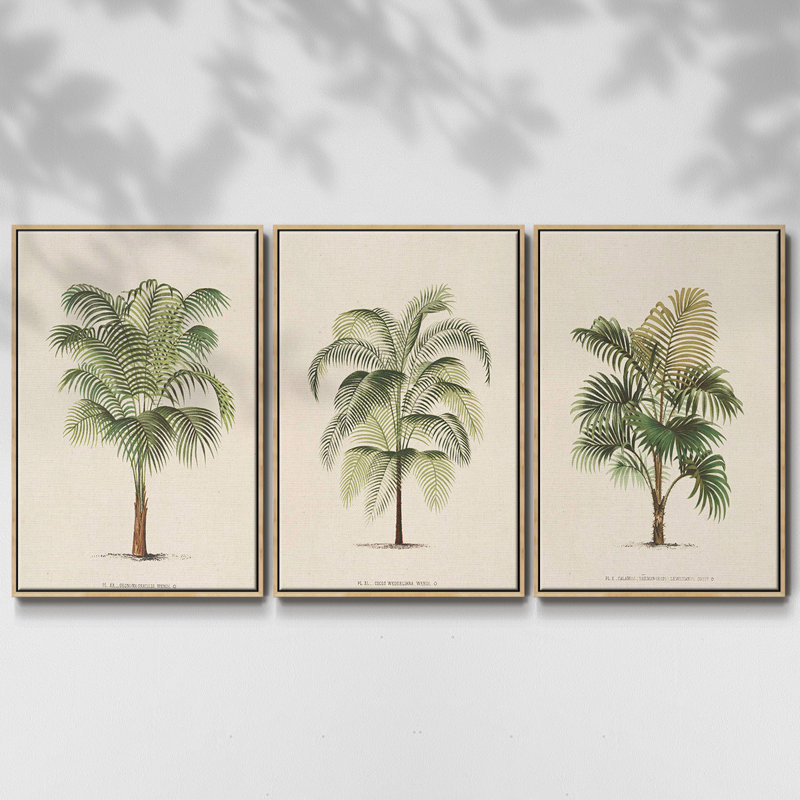 Les Palmiers II - Ensemble de 3 reproductions encadrées sur toile, Bois naturel, H 40 po x l 78 po x P 2 po